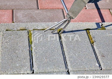 Cleaning moss from concrete paving slabs using a tool Cleaning moss from concrete paving slabs using a tool 134429377