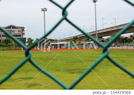 畑 運動場 野原 134429568