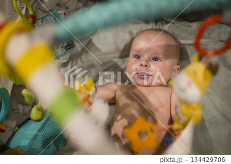 Infant Watching Toys, Baby Gazing At Hanging Playthings, Child Observing Colorful Toys From Parental View 134429706