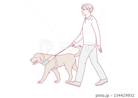 Trained guide dog help blind man 134429932