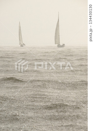 Sailing regatta in the Gulf of Finland in heavily rain, few sailing yachts competing in a race, splashing water from under the boats, teamwork, board the boat 134430130