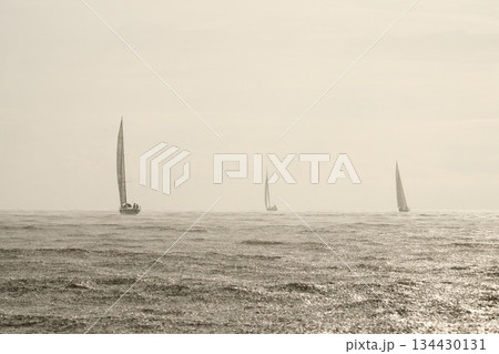 Sailing regatta in the Gulf of Finland in heavily rain, few sailing yachts competing in a race, splashing water from under the boats, teamwork, board the boat Sailing regatta in the Gulf of Finland in heavily rain, few sailing yachts competing in a race, splashing water from under the boats, teamwork, board the boat 134430131