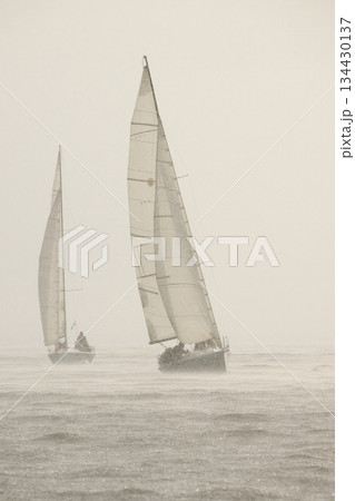 Sailing regatta in the Gulf of Finland in heavily rain, few sailing yachts competing in a race, splashing water from under the boats, teamwork, board the boat 134430137