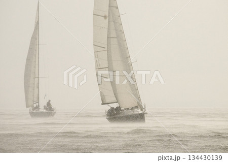 Sailing regatta in the Gulf of Finland in heavily rain, few sailing yachts competing in a race, splashing water from under the boats, teamwork, board the boat 134430139