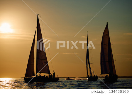 Sailing regatta in the Gulf of Finland at sunset, few sailing yachts competing in a race, splashing water from under the boats, teamwork, board the boat 134430169