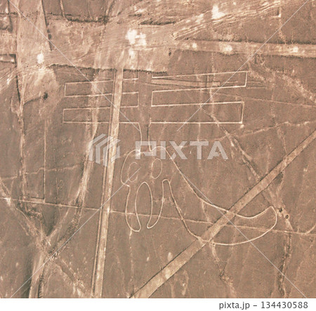 南米ペルー・ナスカの地上絵 オウム 南米ペルー・ナスカの地上絵 オウム 134430588