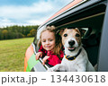 Family travels using a car-sharing service. Happy child and jack russell terrier dog looking from car window. 134430618