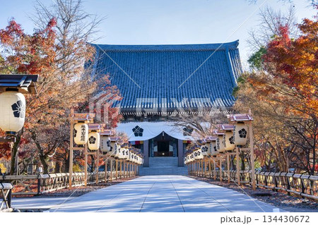 晩秋の総本山 智積院 金堂 京都府京都市 晩秋の総本山 智積院 金堂 京都府京都市 134430672