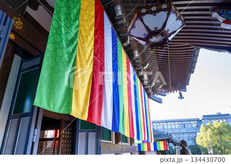 晩秋の総本山 智積院 金堂 京都府京都市 晩秋の総本山 智積院 金堂 京都府京都市 134430700