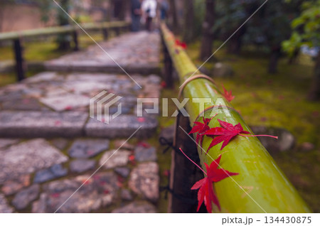竹垣の散り紅葉（光悦寺）_4131 134430875