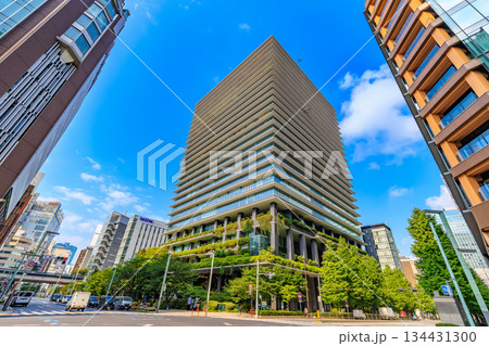 東京　中央区　京橋の都市風景　京橋交差点付近 134431300