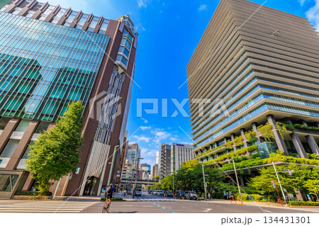 東京　中央区　京橋の都市風景　京橋交差点付近 134431301