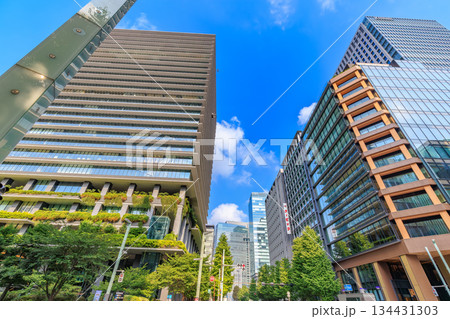 東京 中央区 京橋の都市風景 京橋交差点付近 東京 中央区 京橋の都市風景 京橋交差点付近 134431303