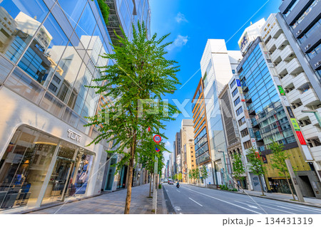 東京 中央区 銀座の都市風景 銀座通り口交差点付近 東京 中央区 銀座の都市風景 銀座通り口交差点付近 134431319