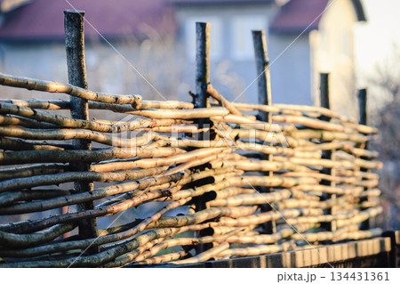 A rustic wicker fence made of wooden branches glowing in the warm golden sunlight of a peaceful garden A rustic wicker fence made of wooden branches glowing in the warm golden sunlight of a peaceful garden 134431361