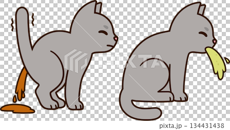 Cartoon cat vomiting and diarrhea Cartoon cat vomiting and diarrhea 134431438