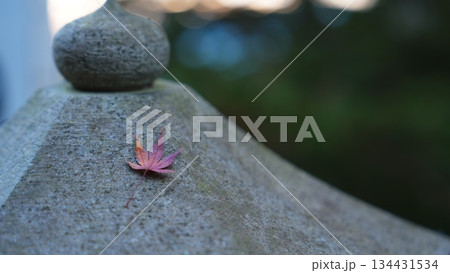 秋の彩りのある風景 秋の彩りのある風景 134431534