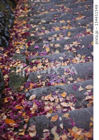 秋の彩りのある風景 134431549