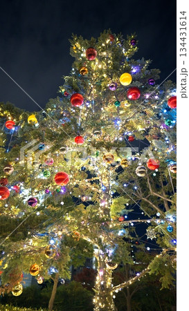 クリスマスイルミネーション クリスマスイルミネーション 134431614