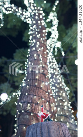 クリスマスイルミネーション 134431620