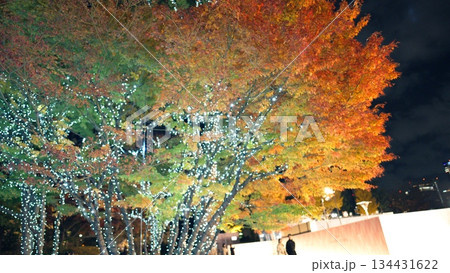 クリスマスイルミネーション 134431622