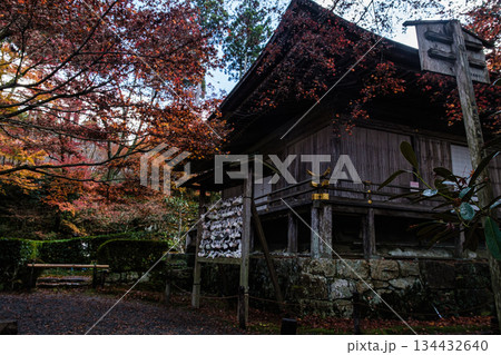 京都府大原三千院境内結び文秋風にゆれて 京都府大原三千院境内結び文秋風にゆれて 134432640
