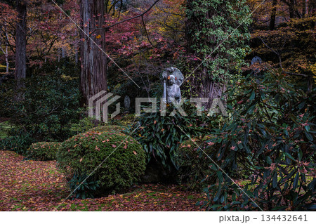 京都府大原三千院仏像秋のほとりにひとり立つ 京都府大原三千院仏像秋のほとりにひとり立つ 134432641