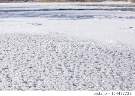 北海道むかわ町、鵡川に現れたフロストフラワー【12月】 北海道むかわ町、鵡川に現れたフロストフラワー【12月】 134432728