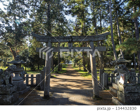 松並木に静かに佇む天橋立神社の鳥居と参道 134432830