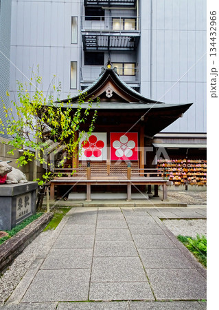 名古屋市内の神社桜天神社 134432966
