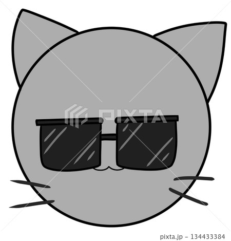 サングラス　猫 134433384