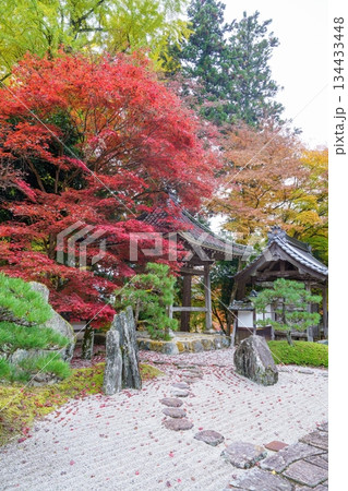 ちょうど見ごろのモミジの紅葉をバックに見る枯山水の日本庭園の情景 ちょうど見ごろのモミジの紅葉をバックに見る枯山水の日本庭園の情景 134433448