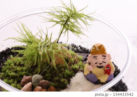 植物と縁起物 植物と縁起物 134433542