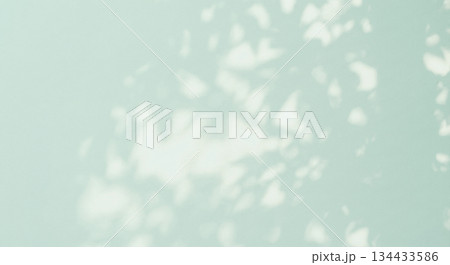 植物　影　光　日差し　木漏れ日 134433586