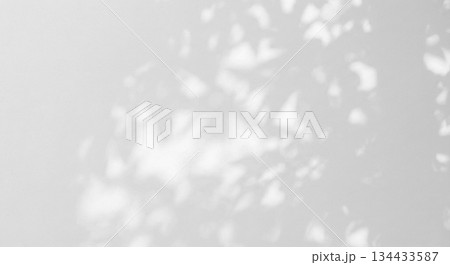 植物 影 光 日差し 木漏れ日 植物 影 光 日差し 木漏れ日 134433587