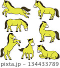 黄色の馬セット 黄色の馬セット 134433789