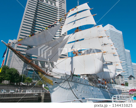 帆船日本丸 文化の日の総帆展帆    都市景観（2024年11月） 134433825
