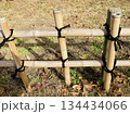 竹の柵 134434066