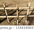 竹の柵2 134434069