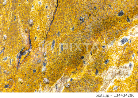 Wet yellow orange rock stone texture in Patong Phuket Thailand. Wet yellow orange rock stone texture in Patong Phuket Thailand. 134434286