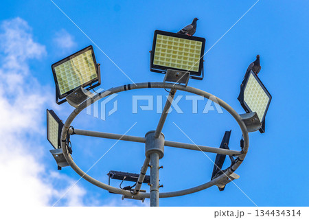 Pigeons pigeon sit and fly on lantern spotlights in Thailand. Pigeons pigeon sit and fly on lantern spotlights in Thailand. 134434314