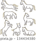 白い馬セット 白い馬セット 134434380