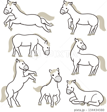 白い馬セット 134434380