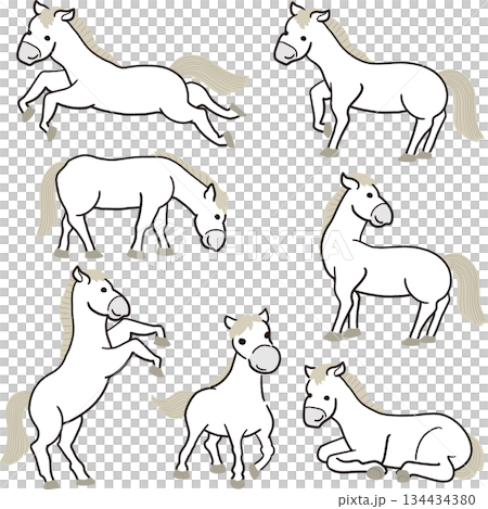 白い馬セット 134434380