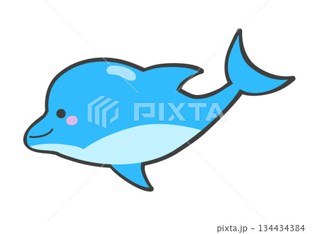 かわいいイルカ 134434384