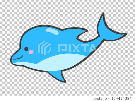 かわいいイルカ 134434384