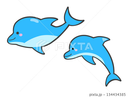 かわいいイルカの親子 134434385