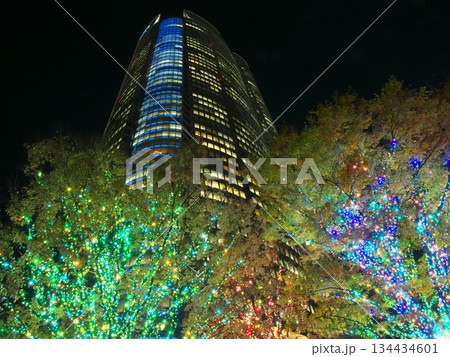 クリスマス・イルミネーションが美しい夜の六本木ヒルズ（2025年11月） 134434601