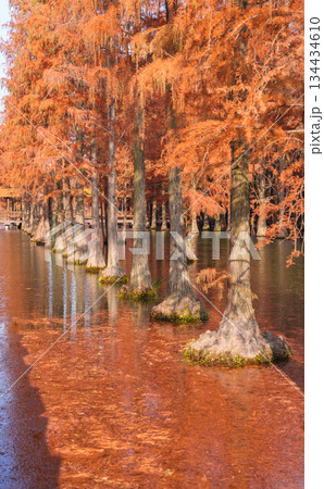 無人 自然 天然 134434610
