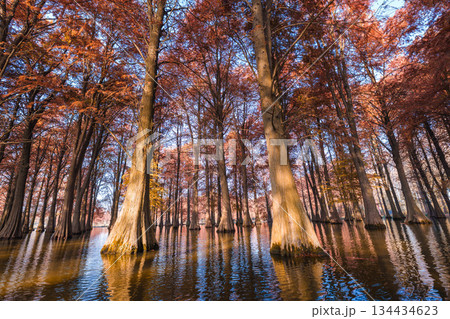 無人 自然 天然 134434623